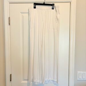 Splendid Casual Pants | size L